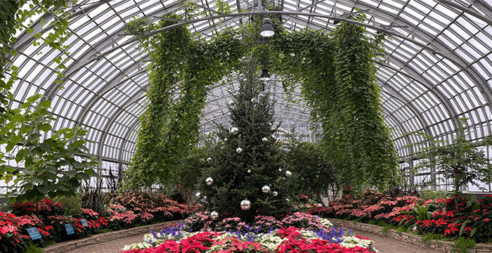 Find Serenity at the Garfield Park Conservatory