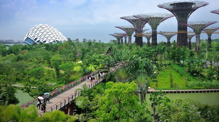 Get Around the Gardens by the Bay