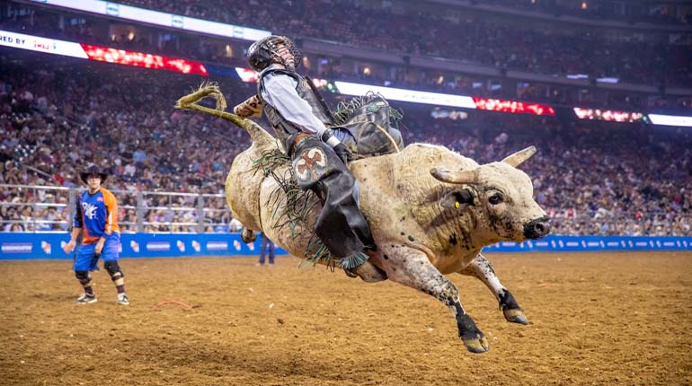 Ride a Bull at the Houston Rodeo