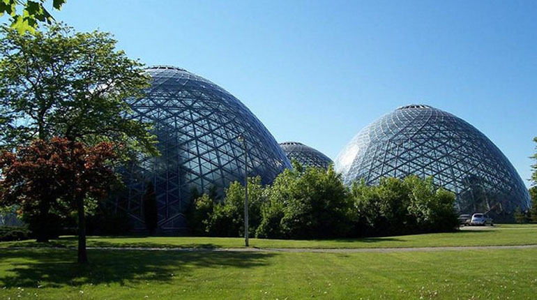 Visit The Plant Life At Mitchell Park Conservatory