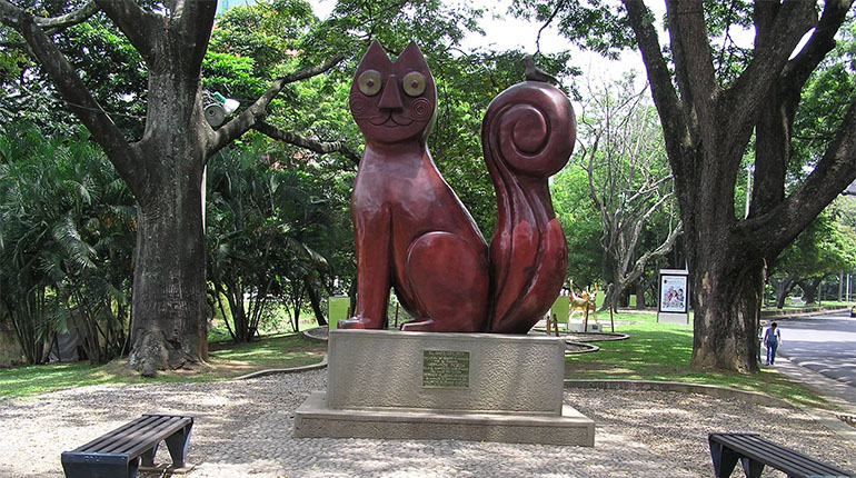Walk Along The Rio Cali And Visit The Cat Park