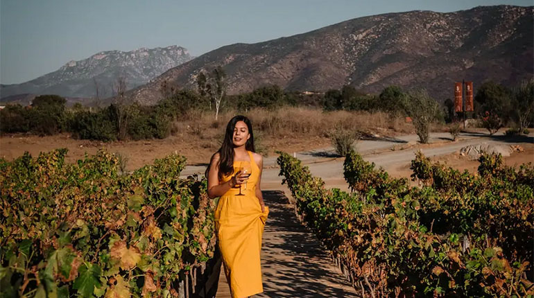 Do a Day Trip to Valle de Guadalupe